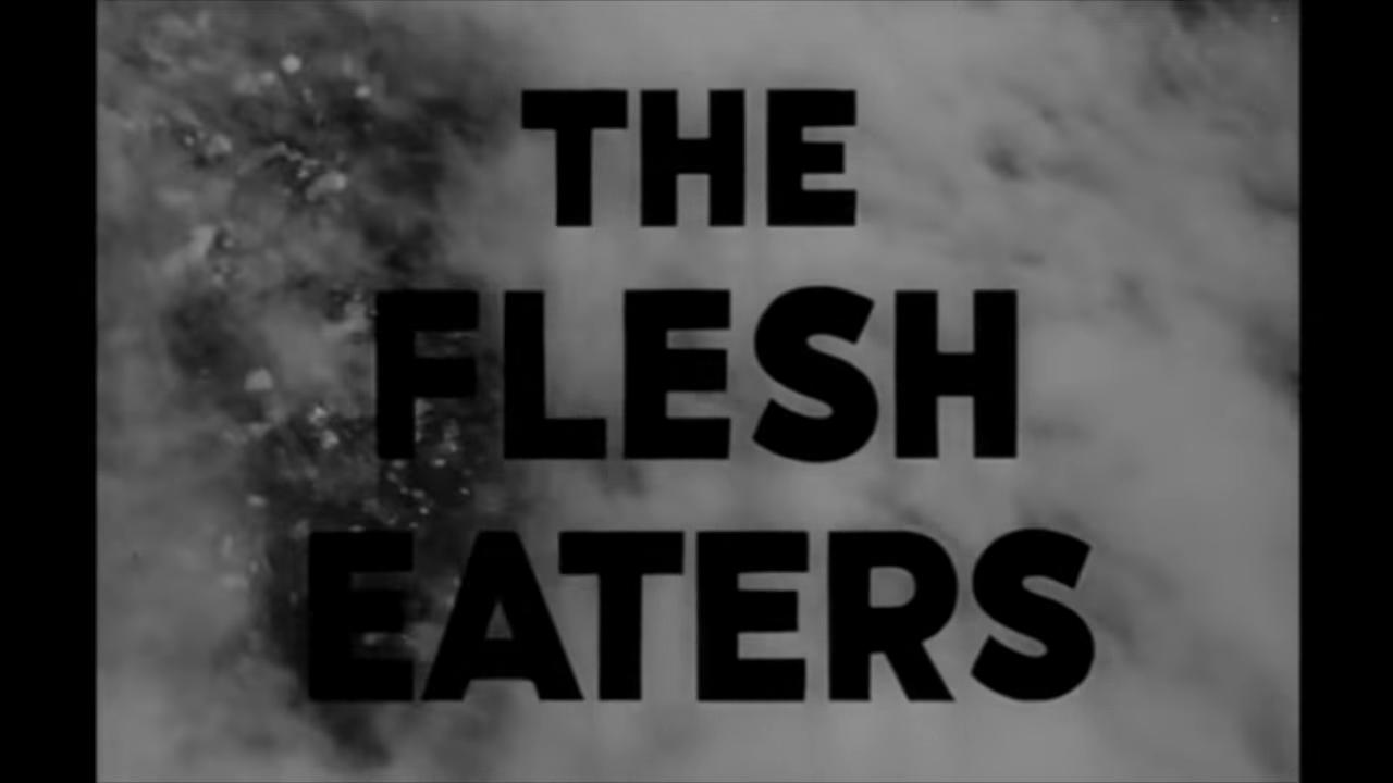THE FLESH EATERS